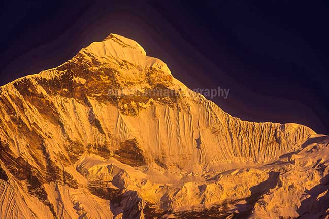 Nature-  Nanda Devi East Snow covered Golden Nanda Devi East in Kumaon Himalalyas in Uttarakhand, India. by Anil Sharma Photography