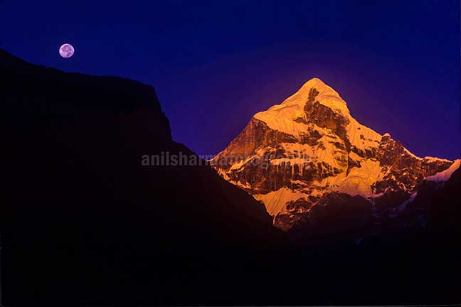 Nature-  Neelkanth Peak Golden Neelkanth Peak with full moon in the blue sky, Garhwal, Uttarakhand, India. by Anil Sharma Photography
