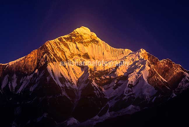Nature-  Nanda Devi Peak Snow covered Golden Nanda Devi East in Kumaon Himalalyas in Uttarakhand, India. by Anil Sharma Photography