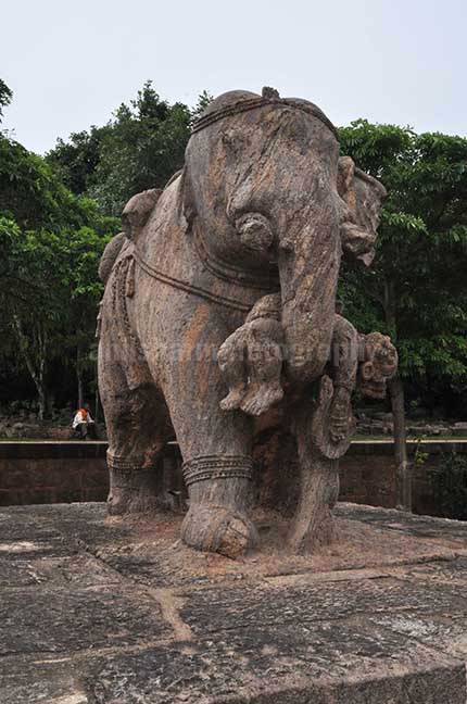 Monuments: Sun Temple Konark, Orissa (India) Richly carved stone sculpture of an elephant holding his wounded master with his trunk at Konark Sun Temple Bhubaneswar, Orissa, India.. by Anil Sharma Photography