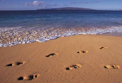 huellas.jpg  by eliamxavier