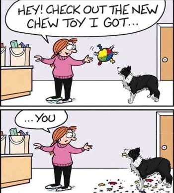 dog toy.jpg - 