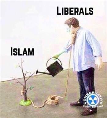 liberals islam.jpg by tim15856