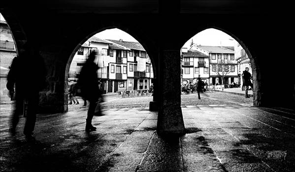 _DSC6772.jpg - undefined