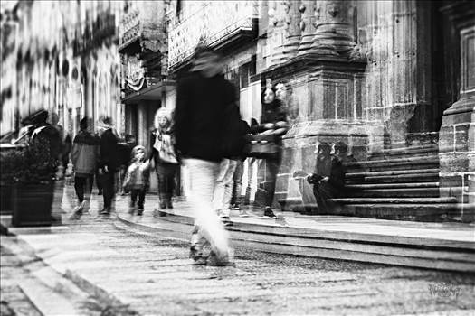 _DSC6691 .jpg - undefined