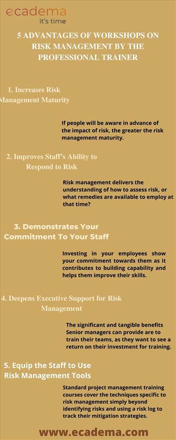 5 Advantages of Workshops on Risk Management by the Professional Trainer.jpg by ecadema