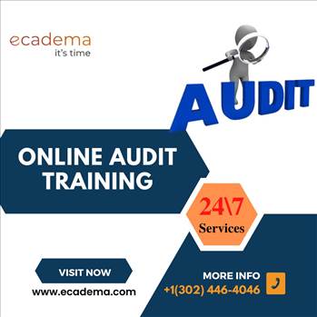 Online Audit Services (1).jpg by ecadema