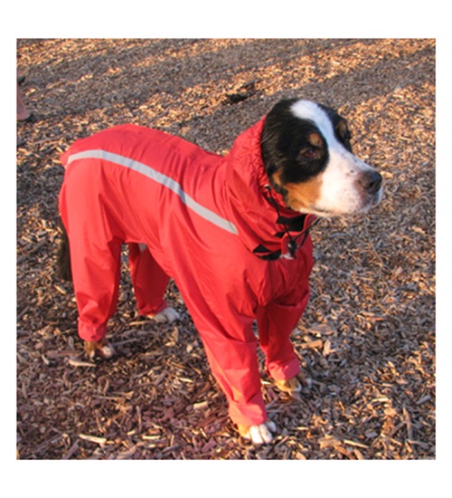 rain/bodysuits for dogs Protect your canine friends with innovative full-body rain/bodysuits for dogs from Neo-Paws.  For more details, visit: https://neopaws.com/product/rain-body-suit-raincoat/ by neopaws
