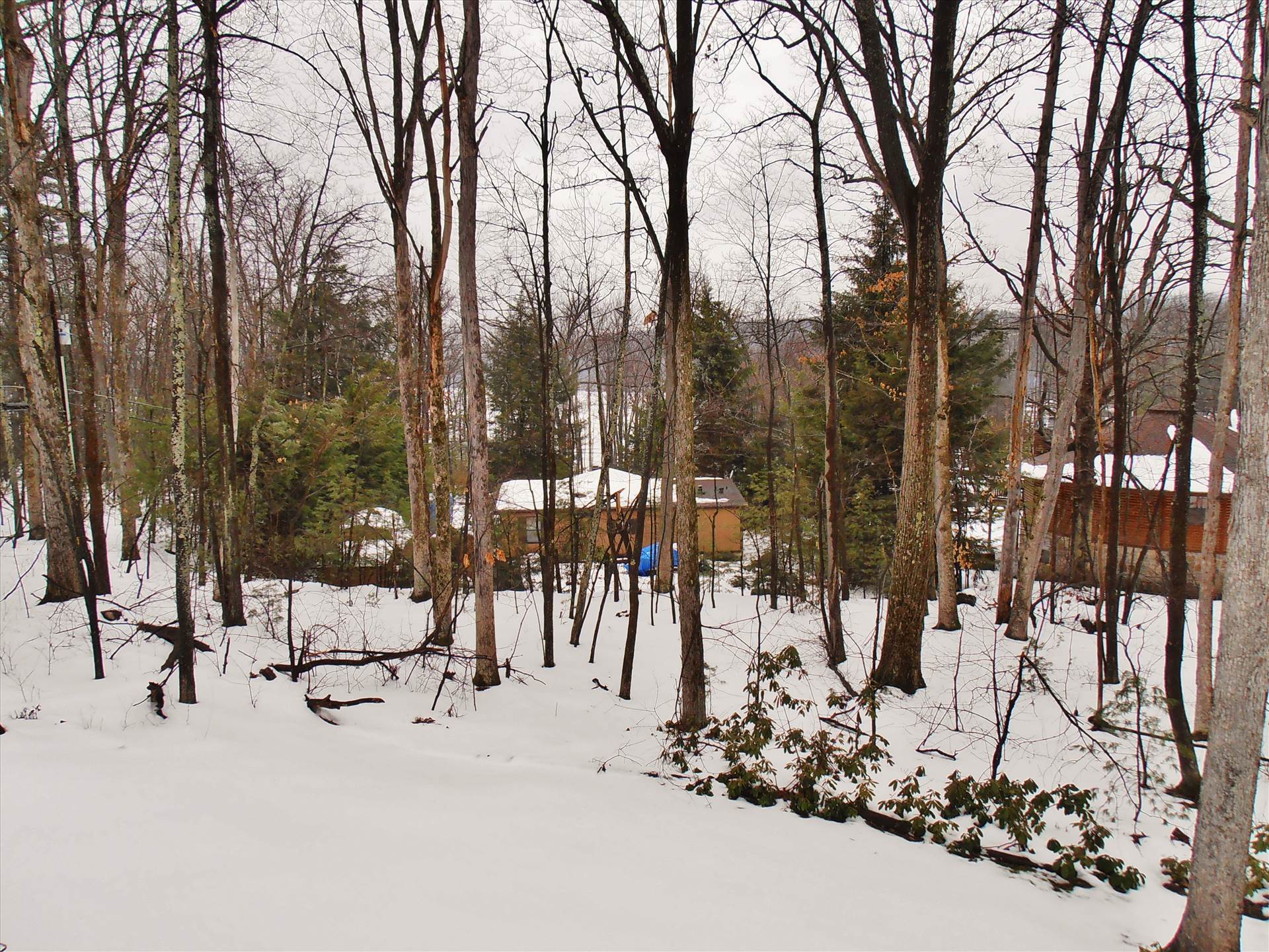 a (29).JPG  by Deepcreekrental