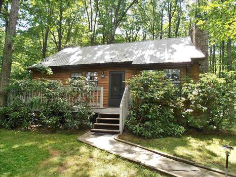 Red Run Cabin is a one story 3 bedroom cottage with finished basement on an acre wooded lot near the west end of the Lake, accommodating up to 6 people.