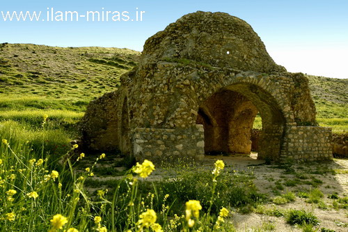 14_2029.jpg  by ali alavi