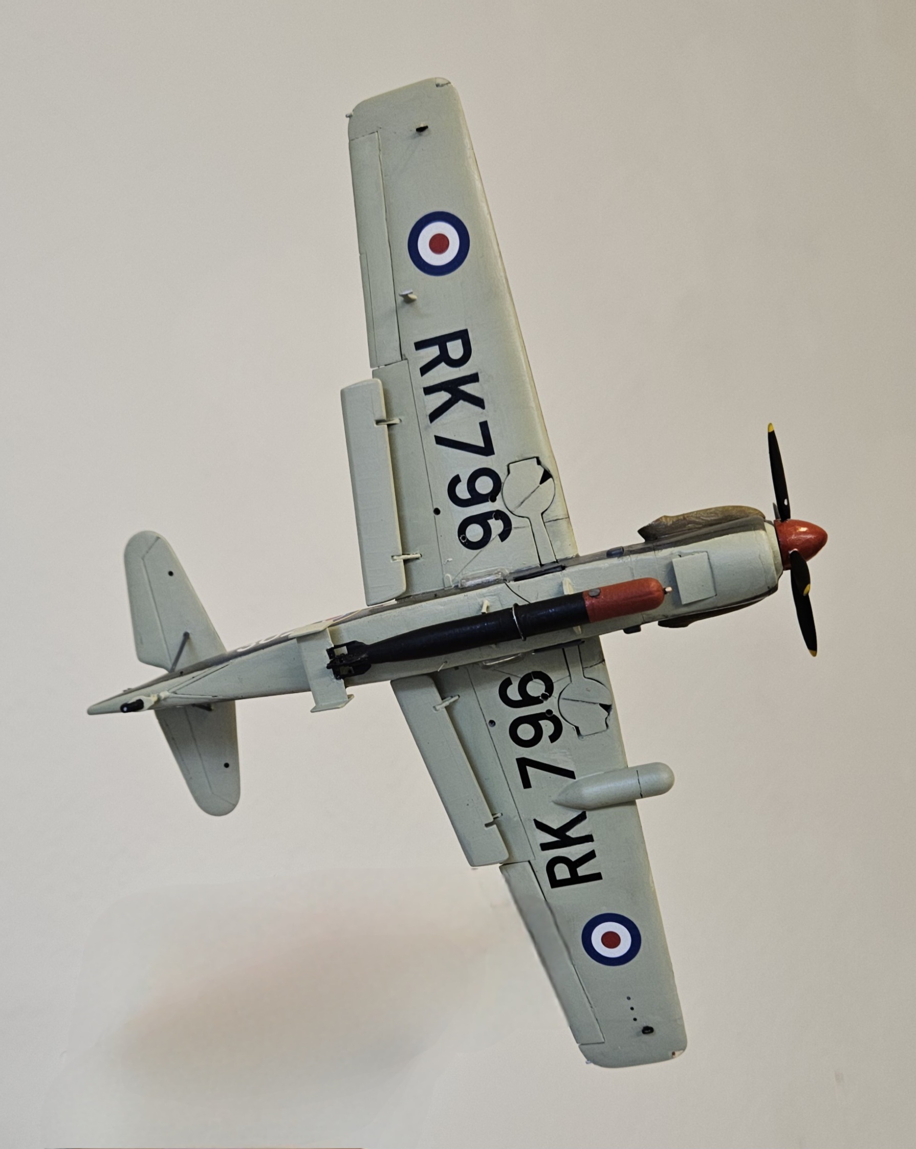 20250227_170402.jpg  by adey m