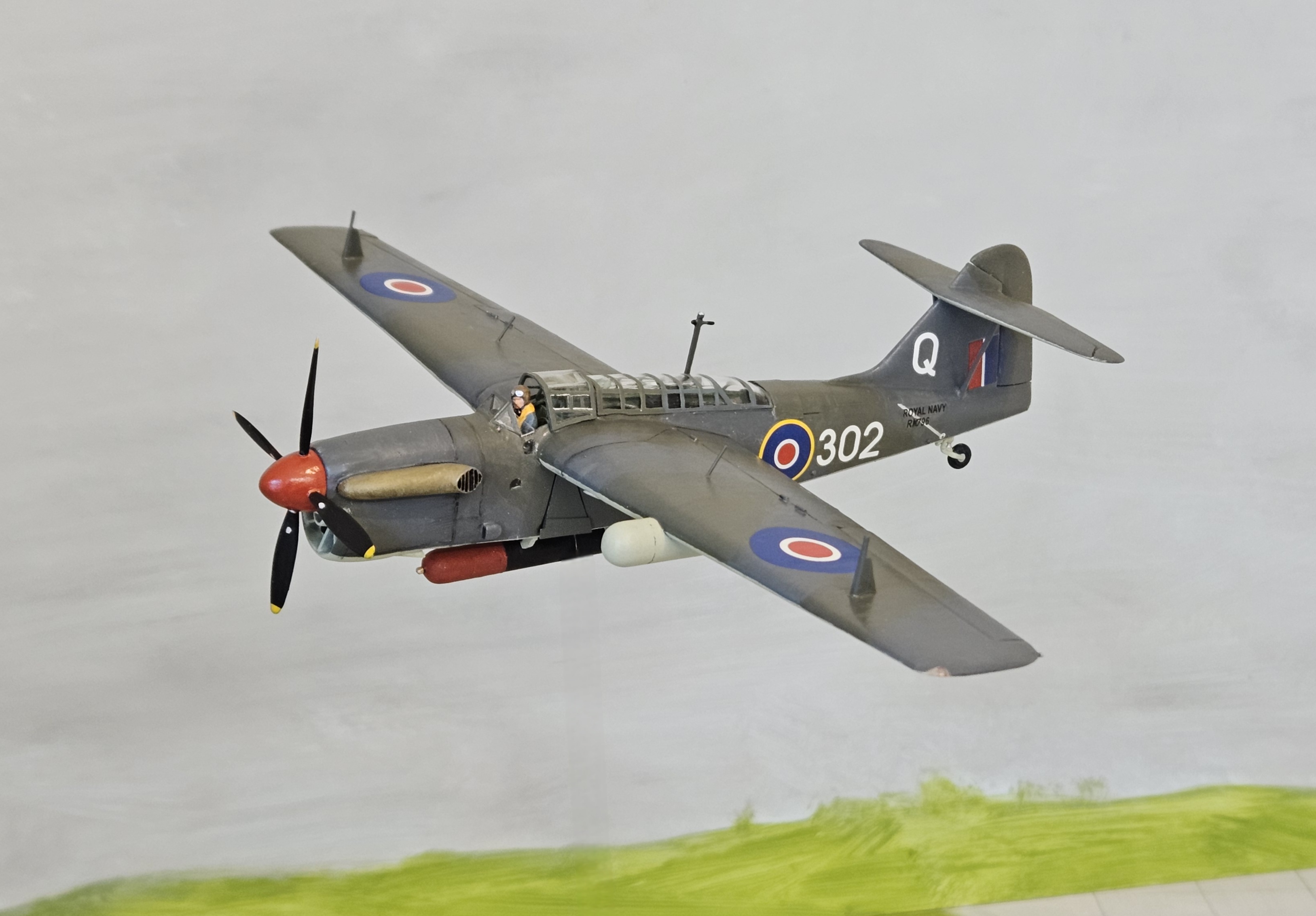 20250227_163322.jpg  by adey m