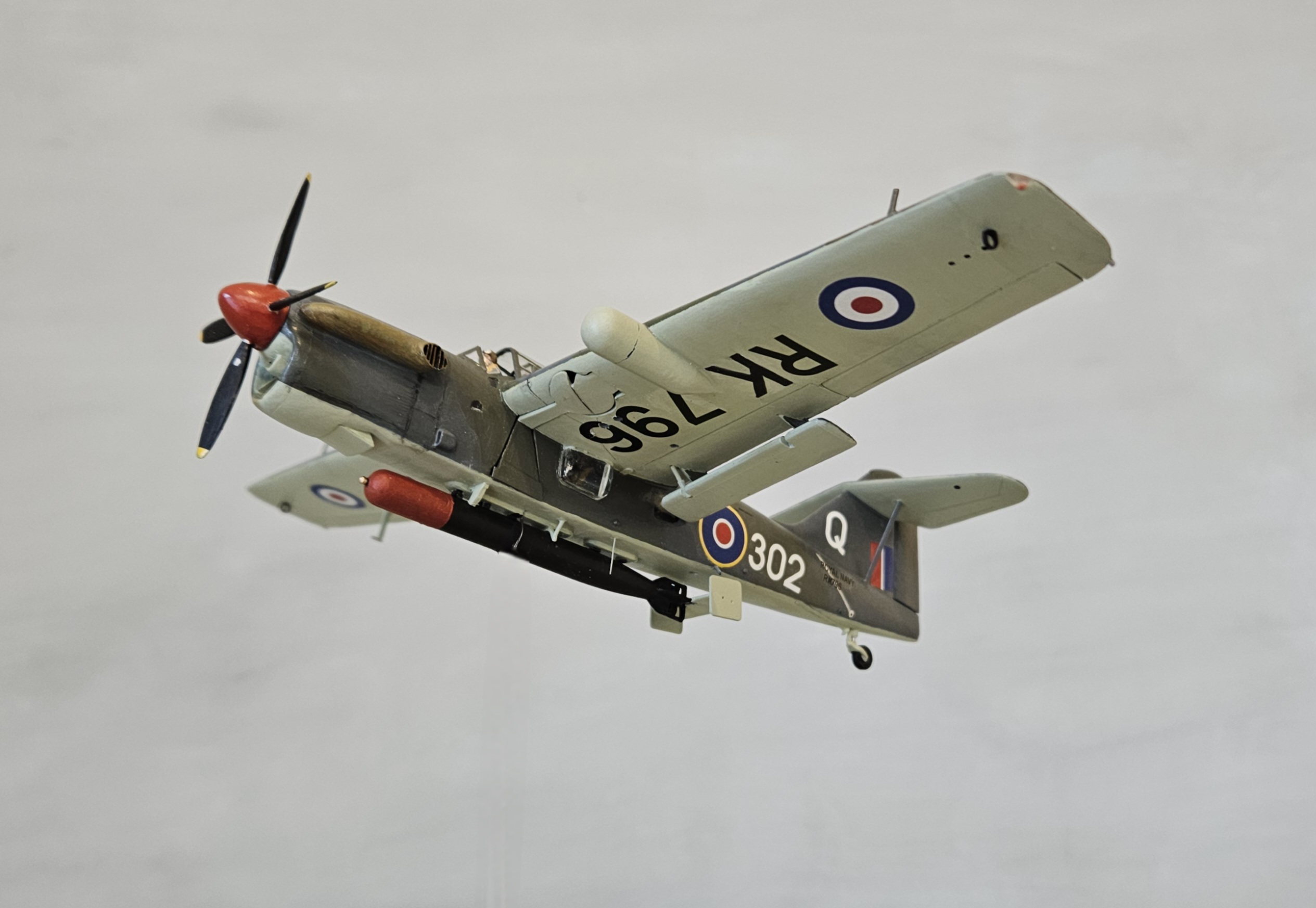 20250227_162842.jpg  by adey m