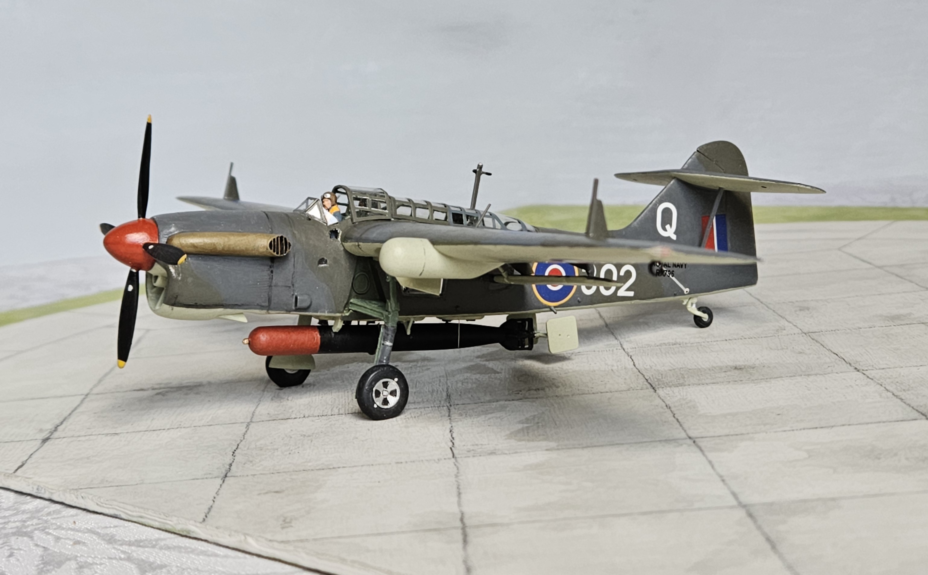 20250227_120002.jpg  by adey m