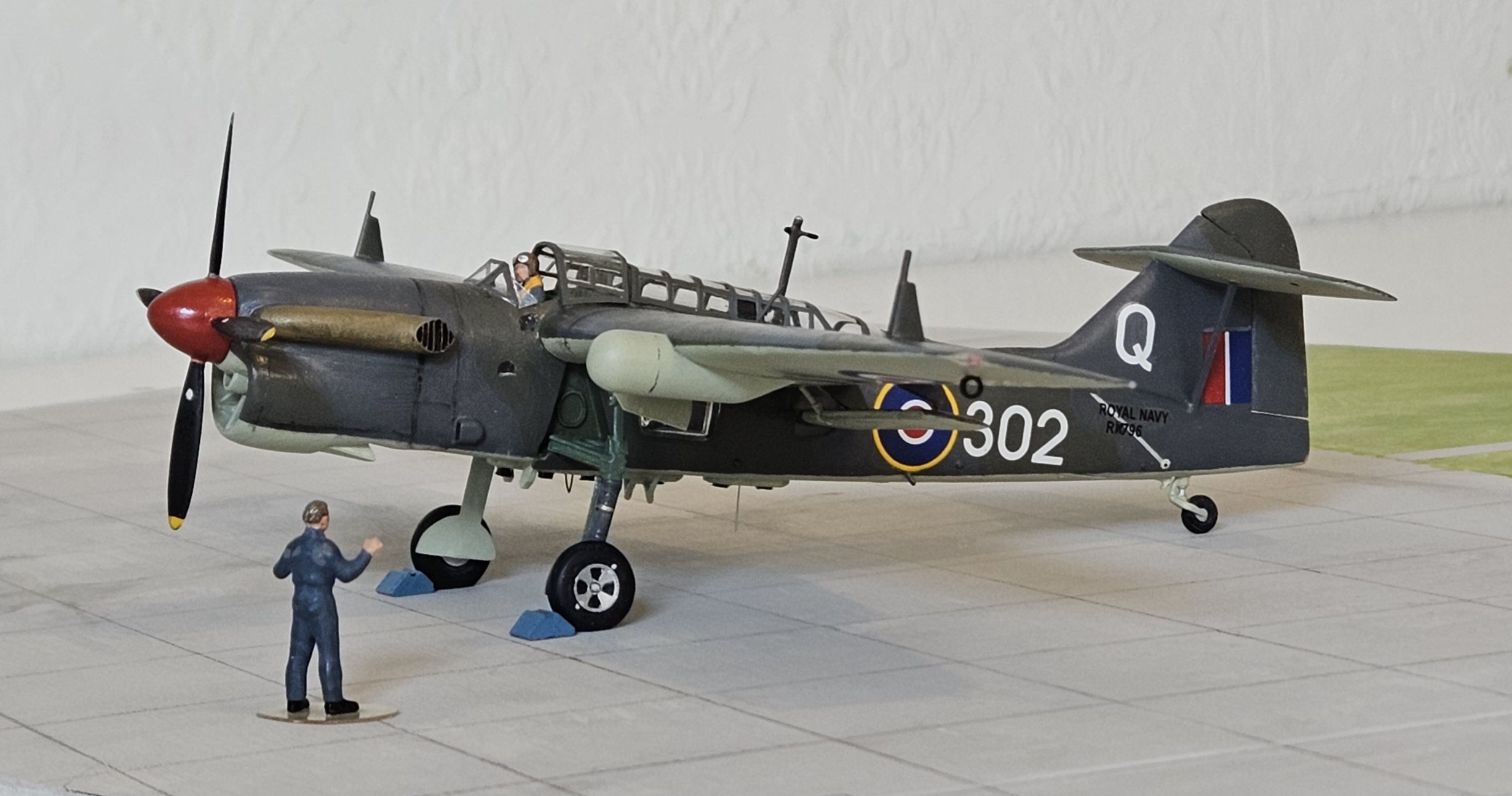 20250301_110622.jpg  by adey m