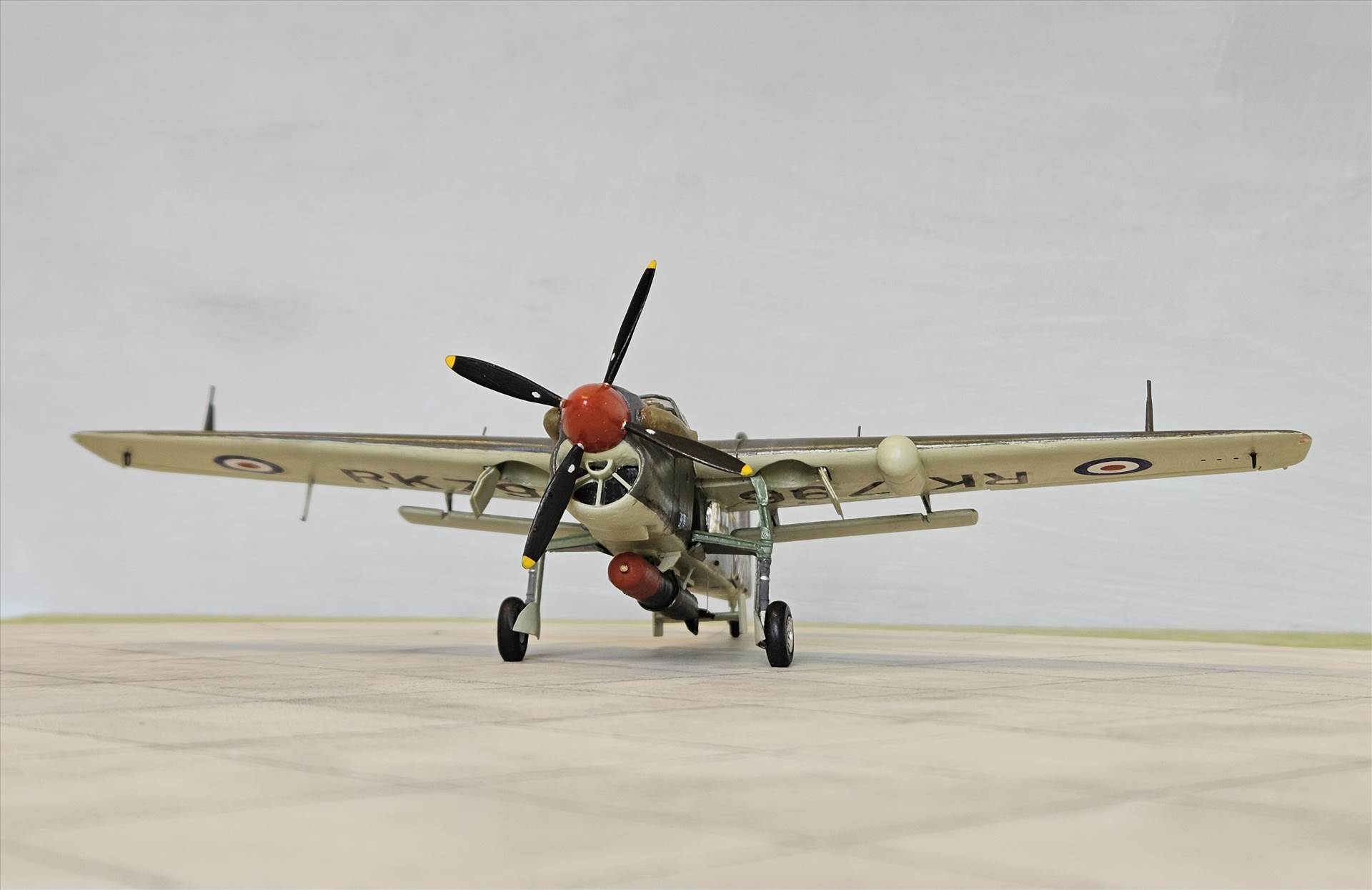 20250227_112410.jpg  by adey m