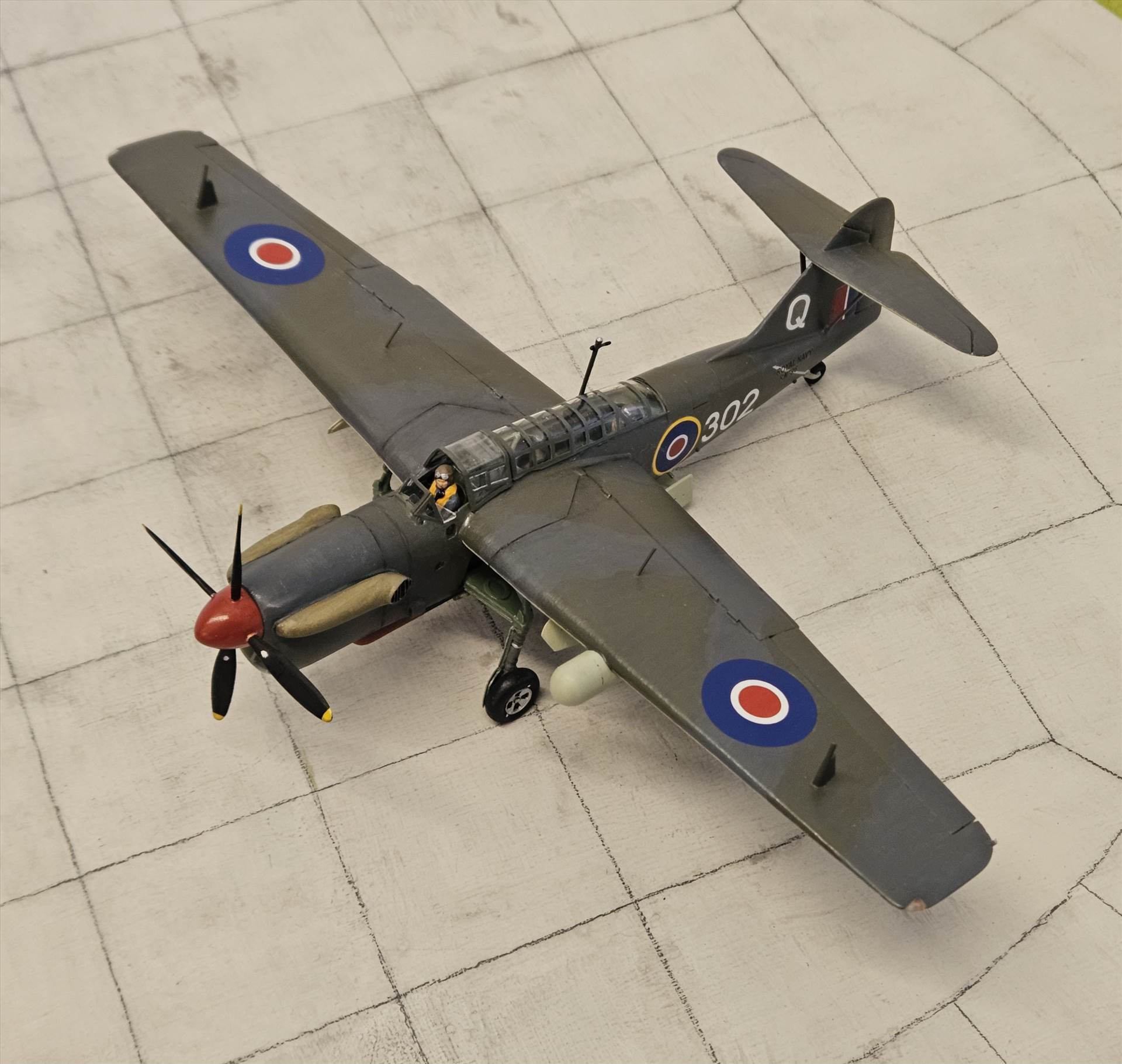 20250227_112104.jpg  by adey m