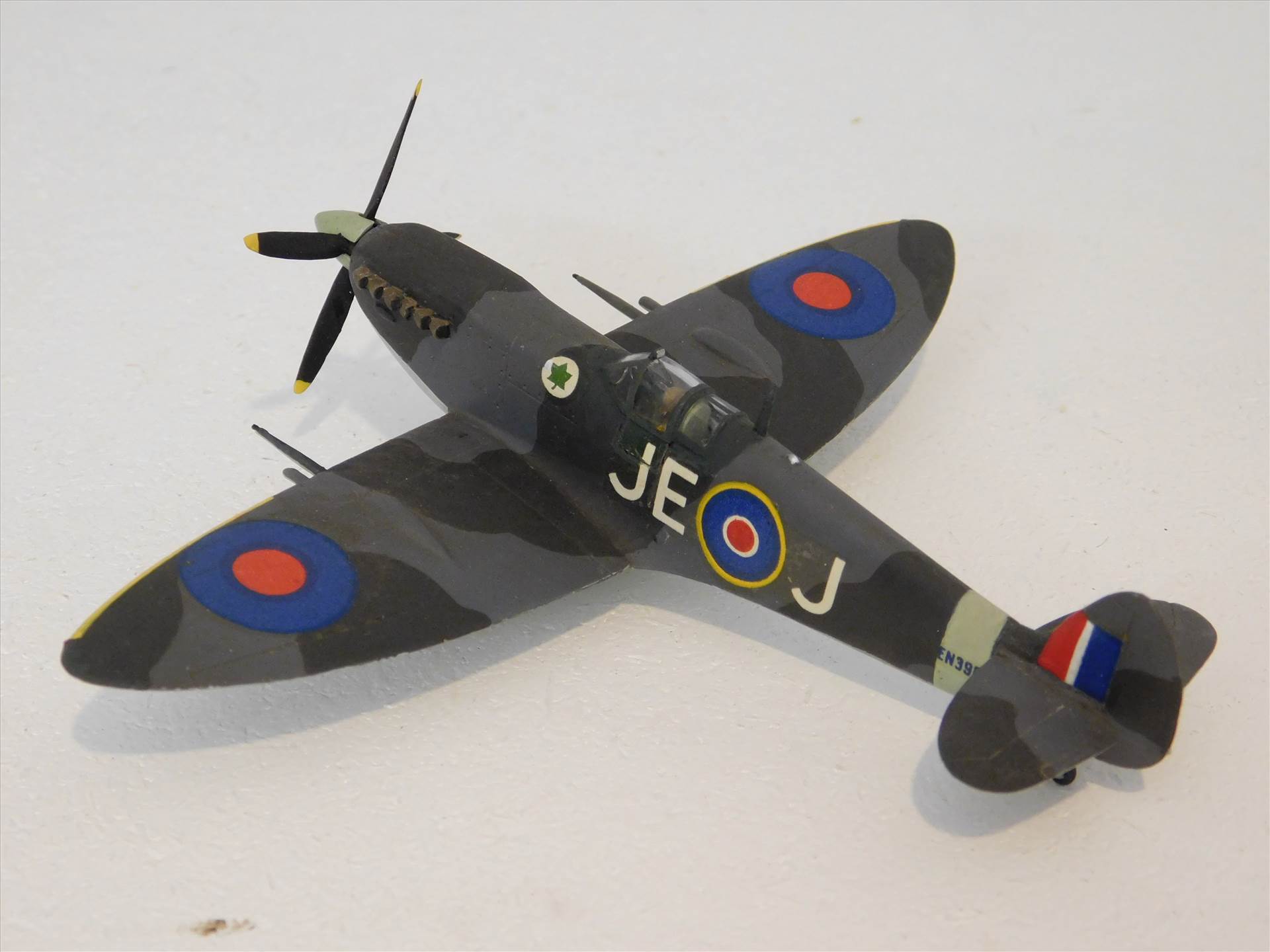 SpitfireRapideBuffalo 002.JPG  by adey m
