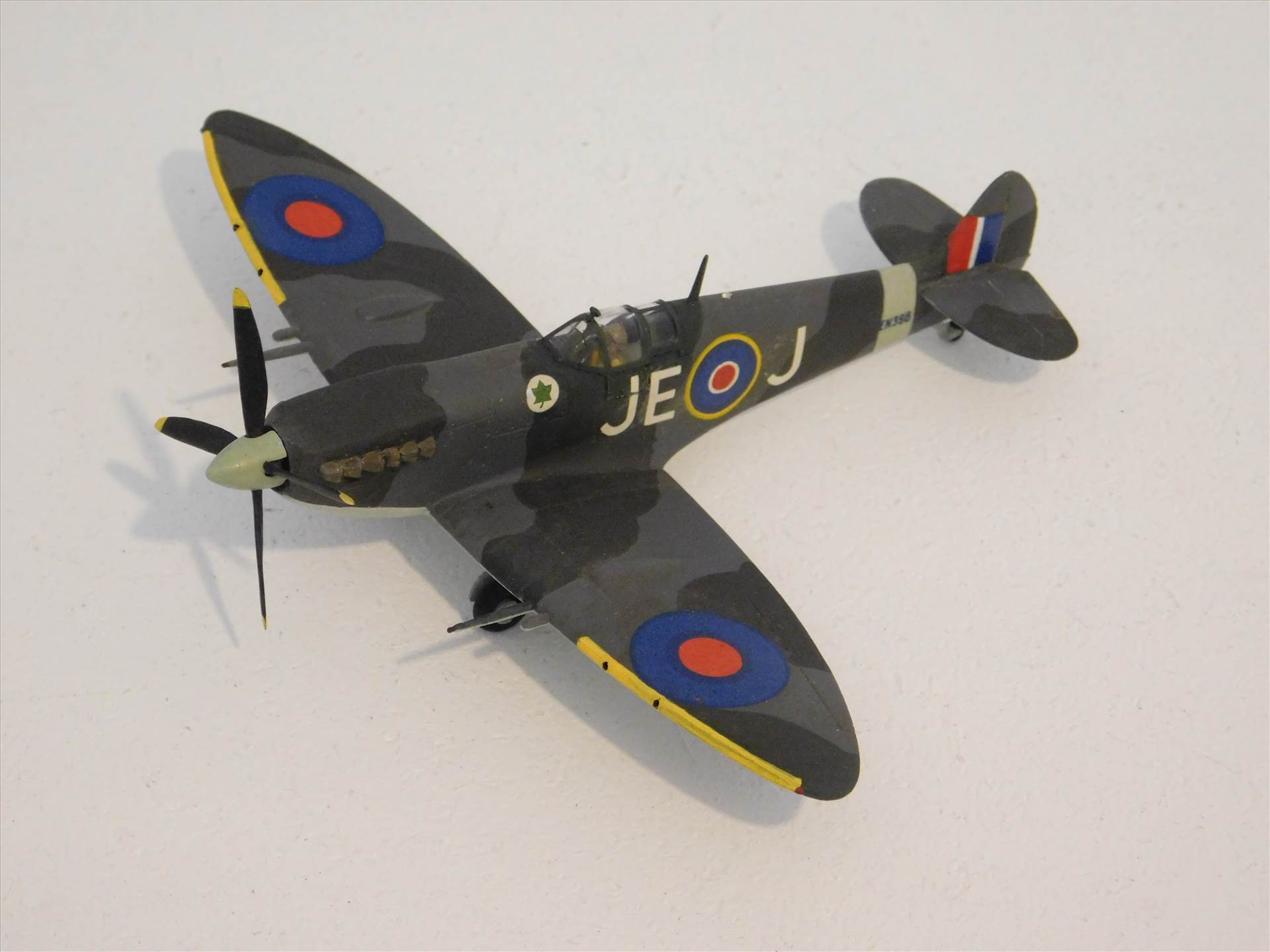 SpitfireRapideBuffalo 001.JPG  by adey m