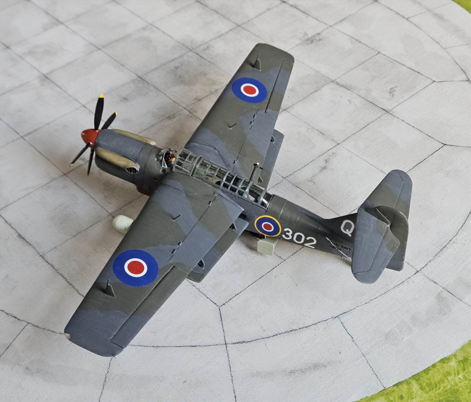 20250227_115502.jpg  by adey m