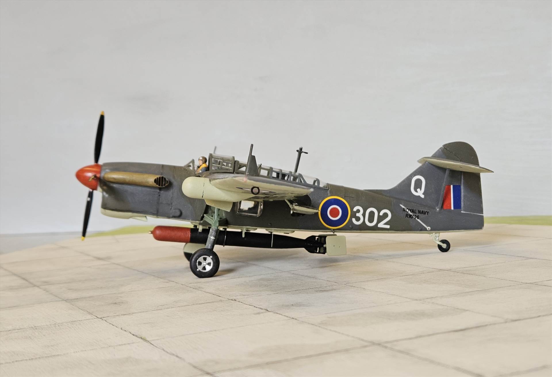 20250227_112323.jpg  by adey m