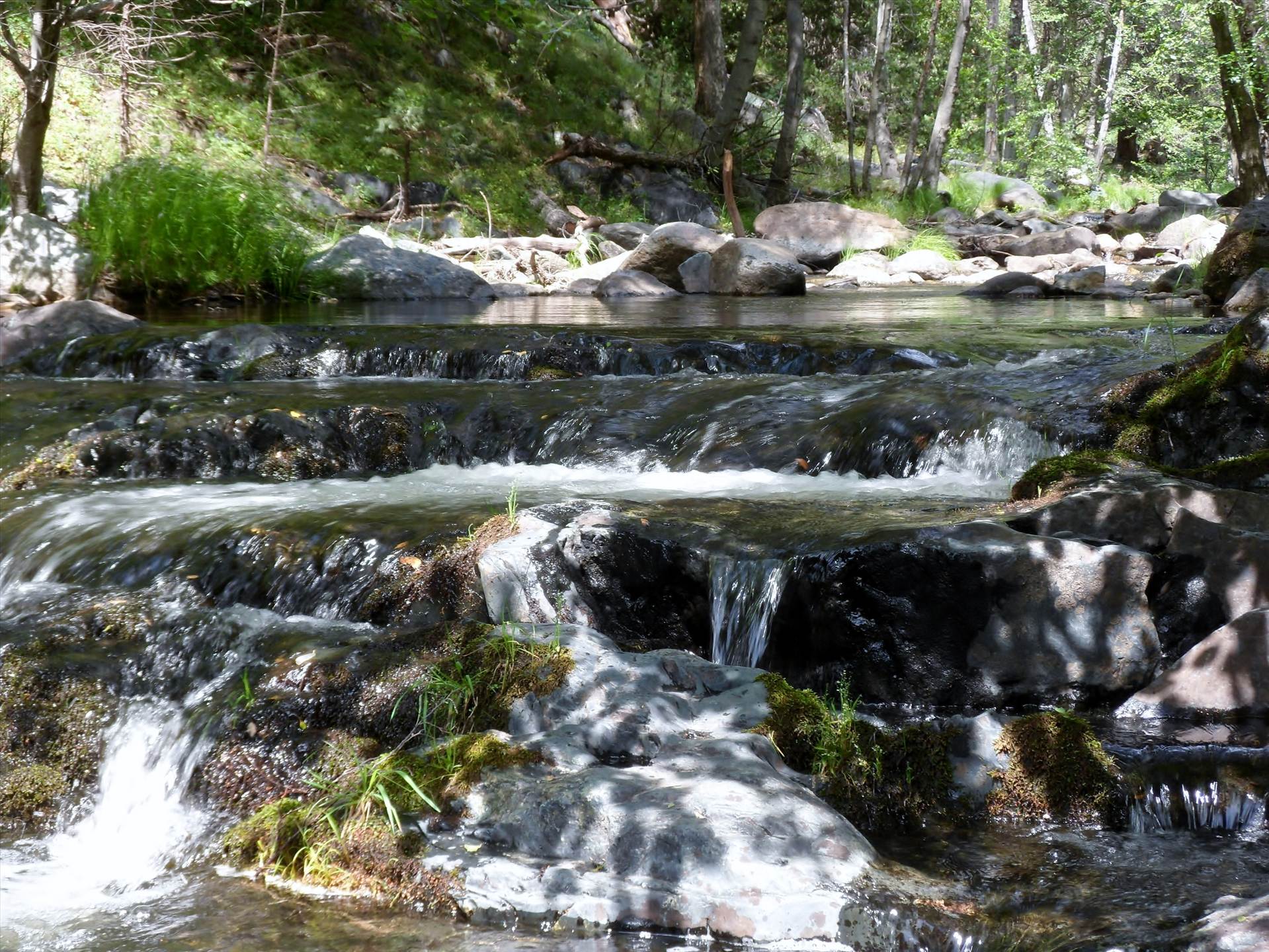 012 (3).jpg  by WPC-88