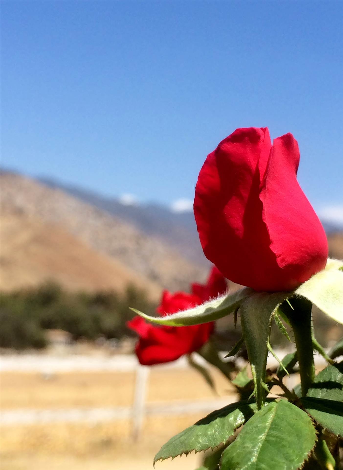 IMG_5315.JPG  by WPC-88