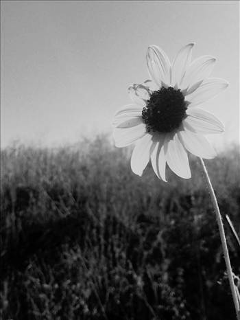 FullSizeRender (10).jpg - 