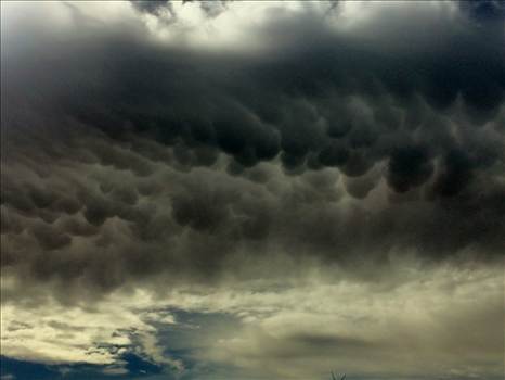 IMG_8372.JPG - undefined