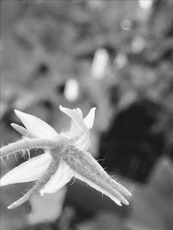 FullSizeRender (5).jpg - 