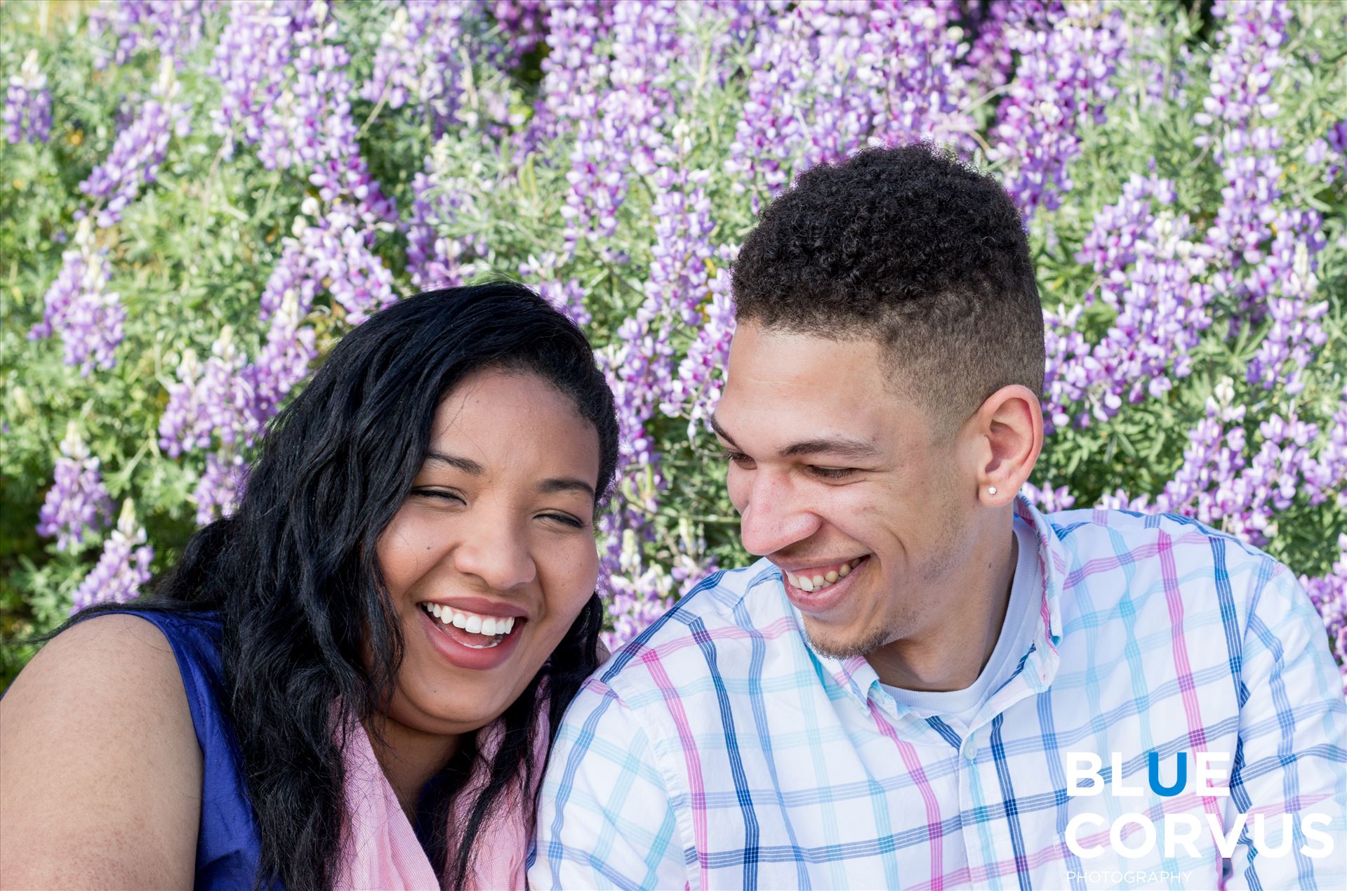 "Lavender Color and Laughter" Nicole and Matt by Eddie Zamora