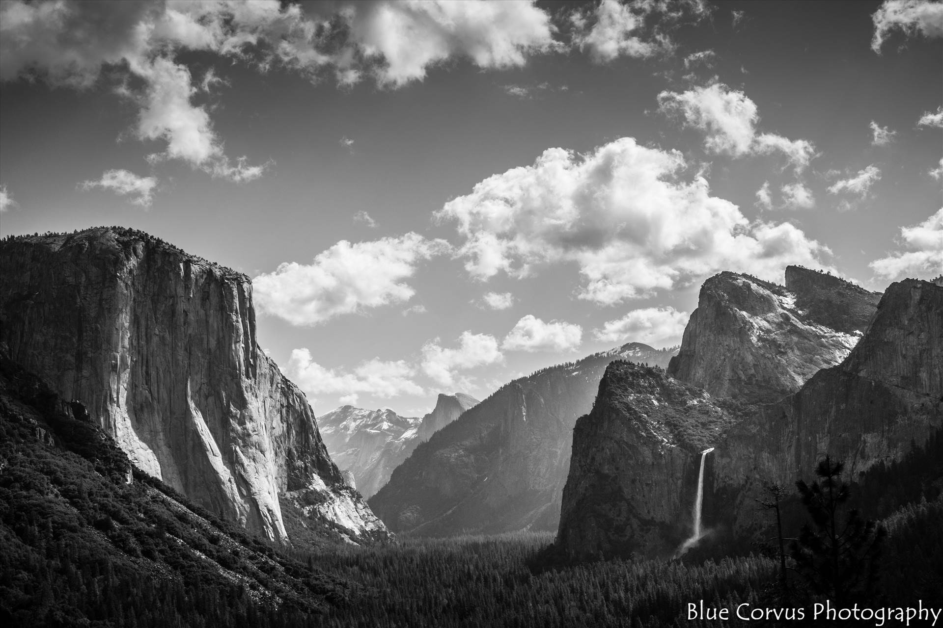Sequoia and Yosemite April 2016 113 JPEG WM.jpg undefined by Eddie Zamora