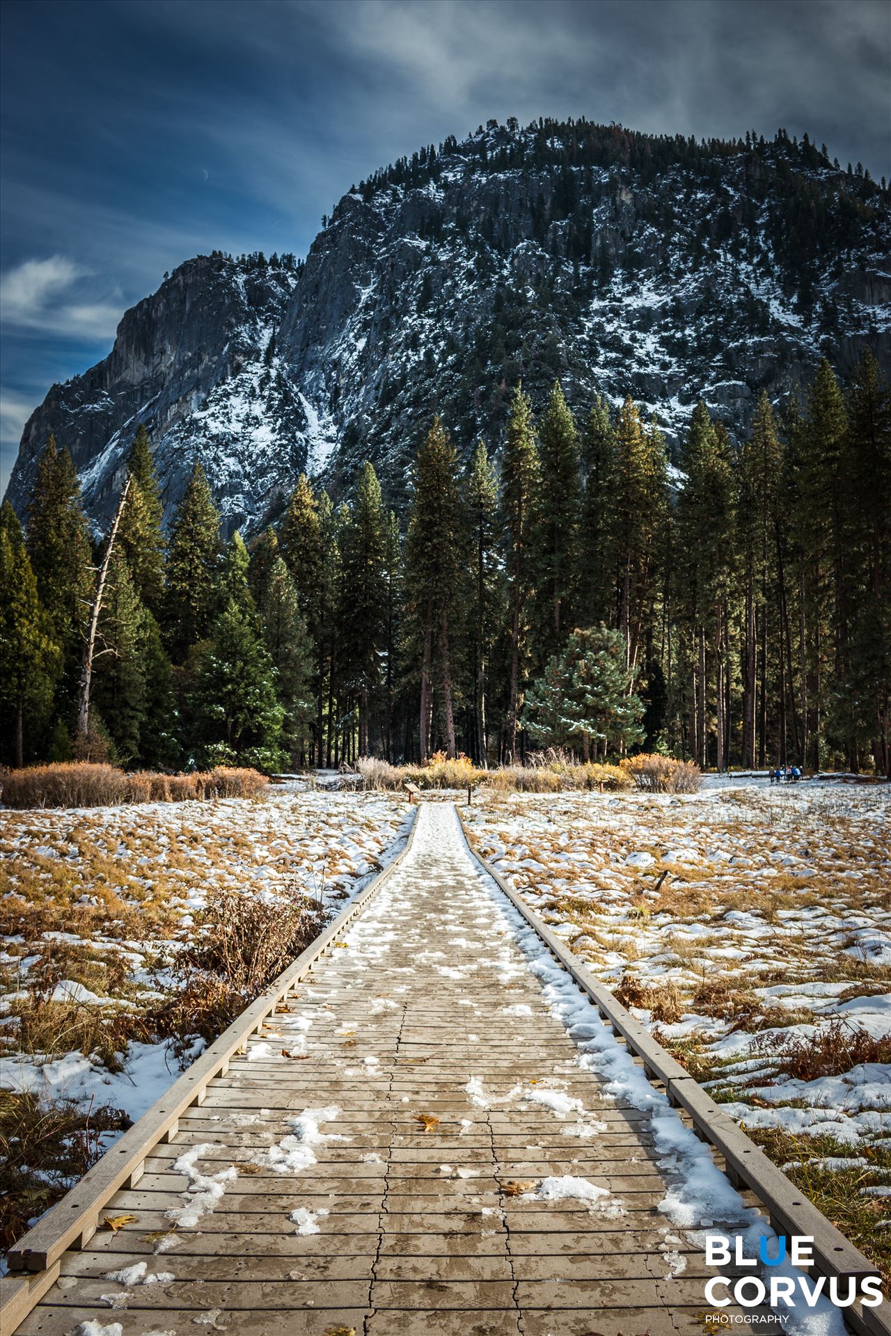 Yosemite Meadow Location: Yosemite National Park by Eddie Zamora