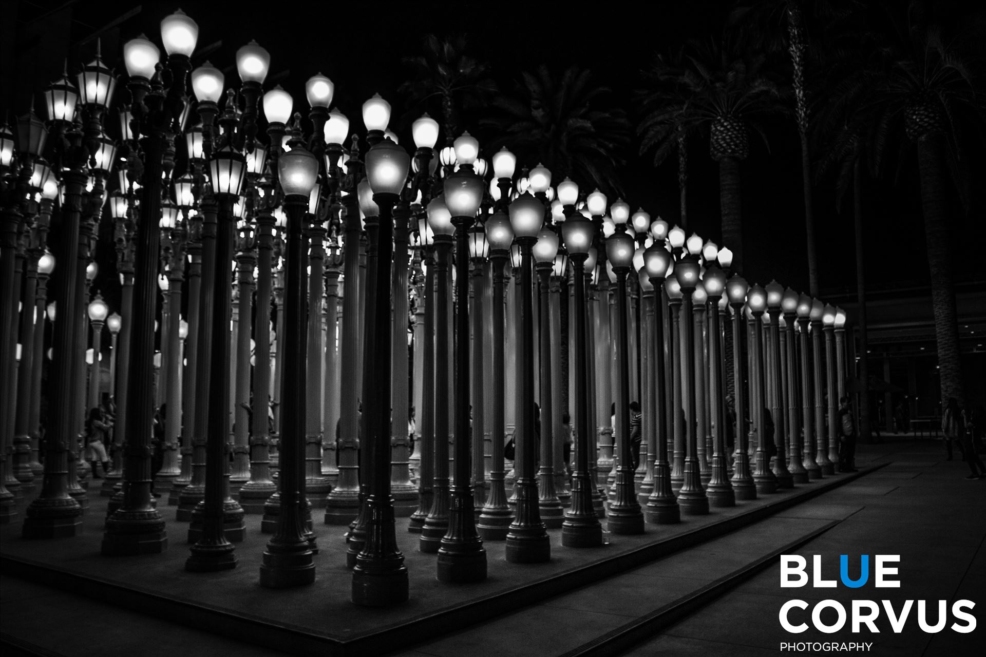 "Urban Light" Chris Burden's "Urban Light" at the Los Angeles County Museum of Art. by Eddie Zamora