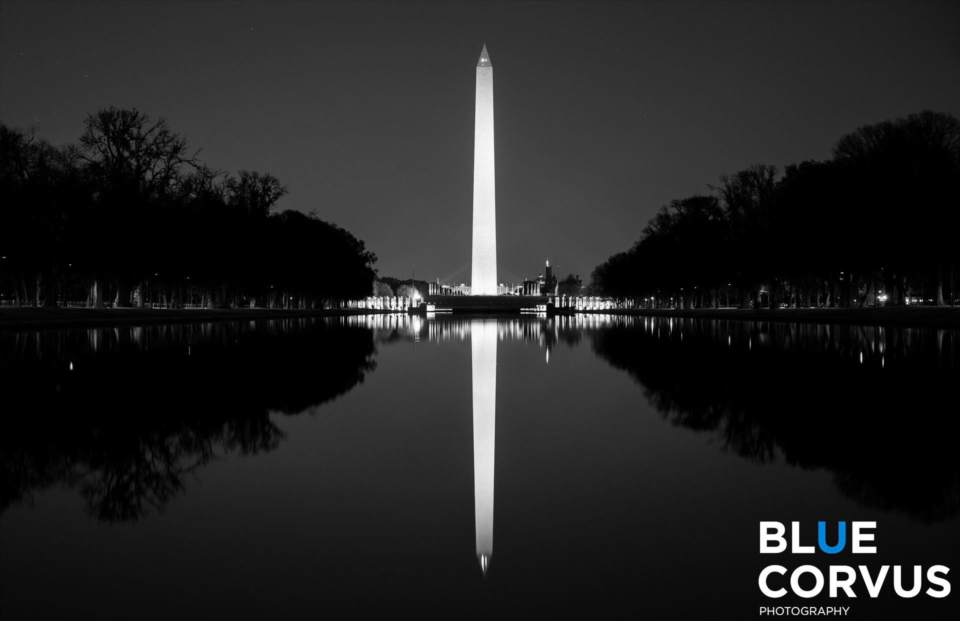 "Reflection-Washington Monument"  by Eddie Zamora