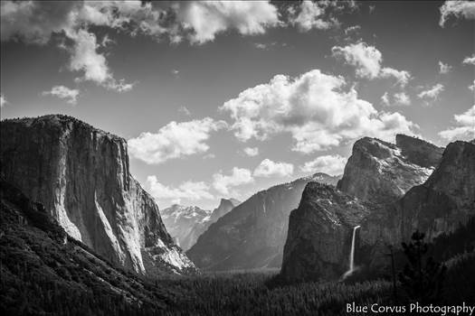 Sequoia and Yosemite April 2016 113 JPEG WM.jpg - undefined