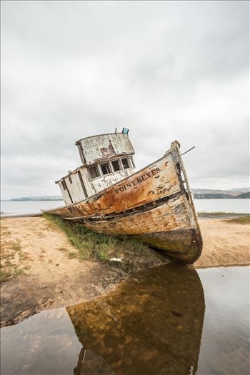 " The Shipwreck of Point Reyes" Vertical by Eddie Zamora