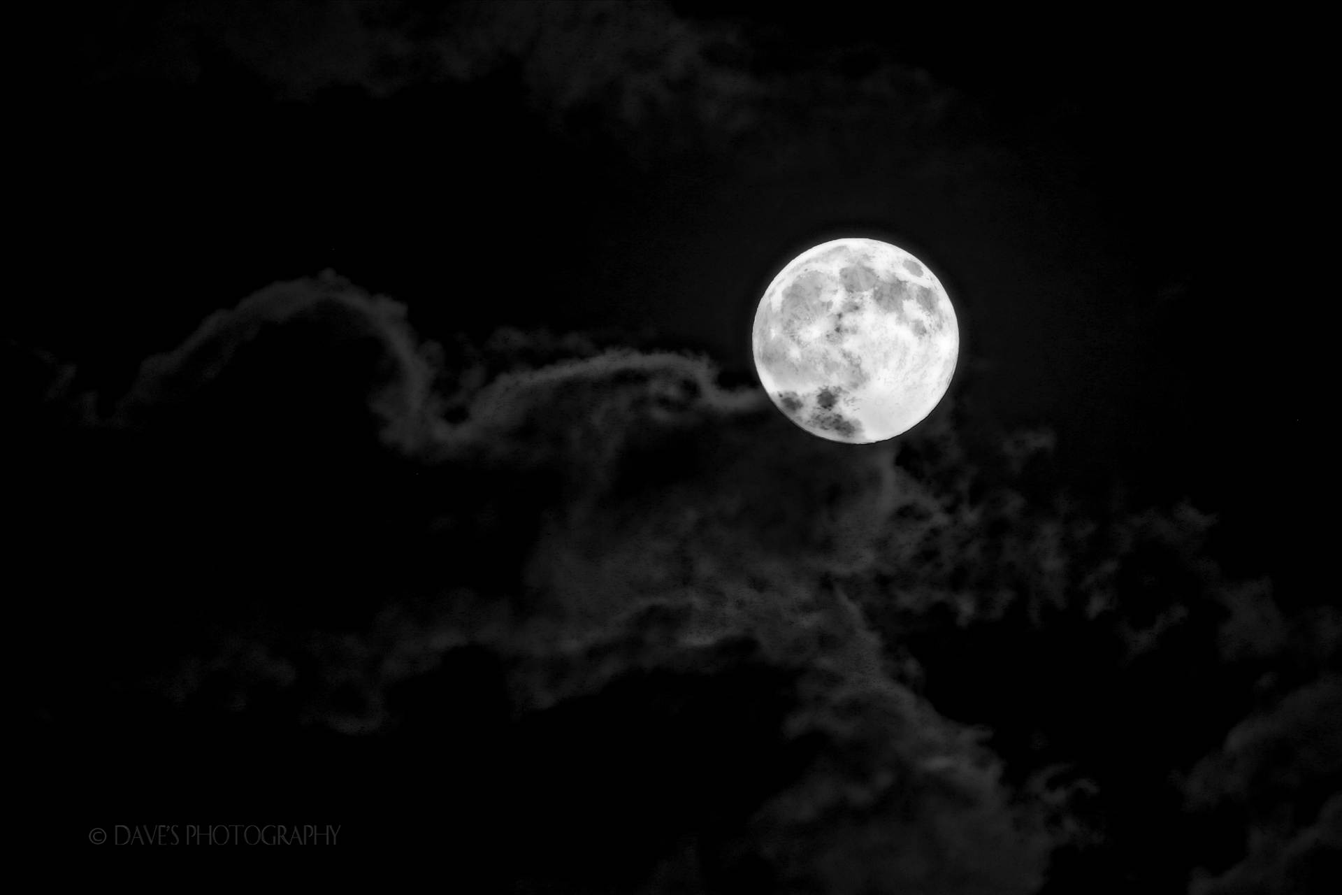 The Moon  by David Verschueren