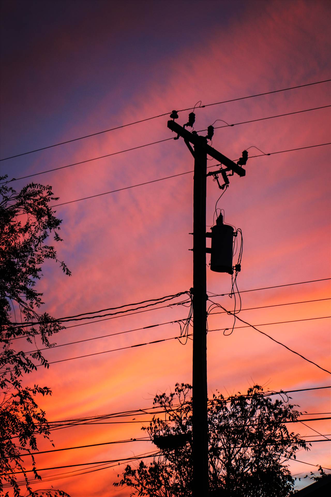 Power Line at Sunset  by David Verschueren