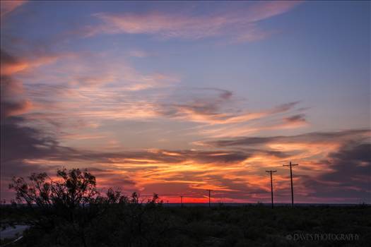 Sunset On The Plains by David Verschueren