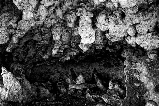 The Grotto - McKittrick Canyon by David Verschueren