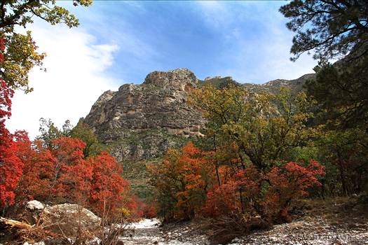 McKittrick Canyon by David Verschueren