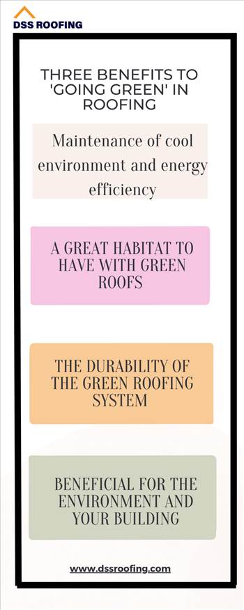 Three benefits to going green in roofing.png by dssroofing