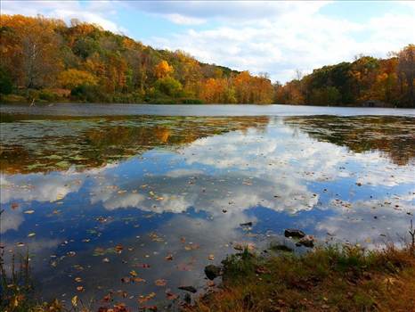 10579998_832779873428507_8254325453152403105_n.jpg - undefined