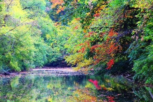 IMG_3594.JPG - undefined