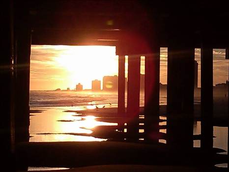 11060891_922536841119476_3857220923753607158_n.jpg - undefined