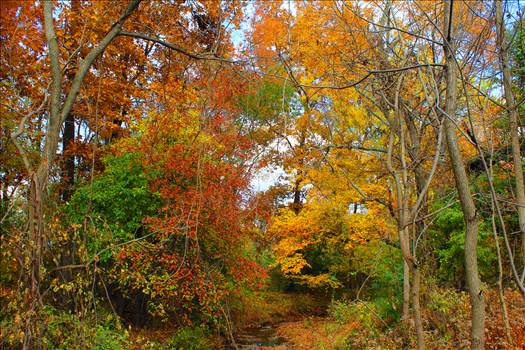 IMG_3847.JPG - undefined