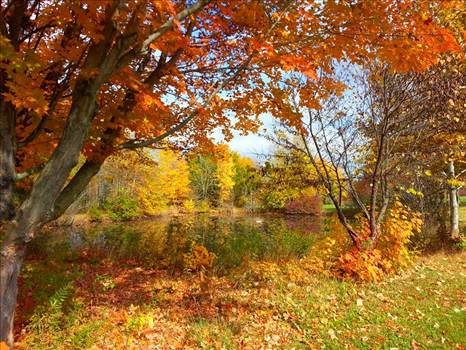 1611007_1030076383698854_725007459001902226_n.jpg - undefined