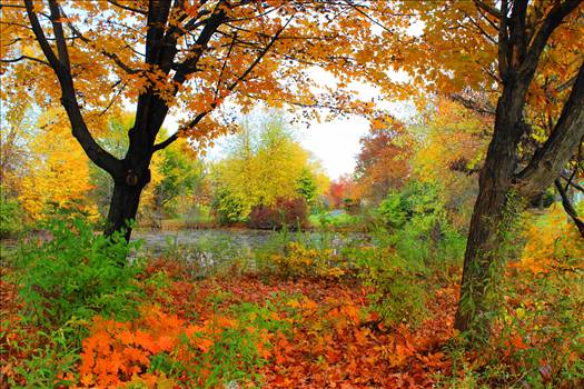 IMG_3814.JPG - undefined